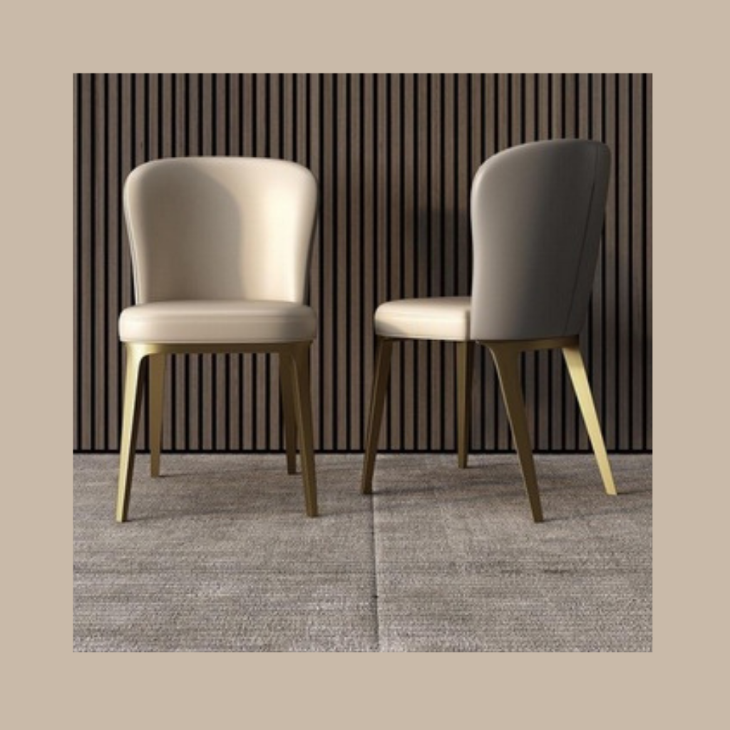 ZANOVA Dining Chair