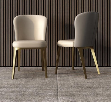 ZANOVA Dining Chair