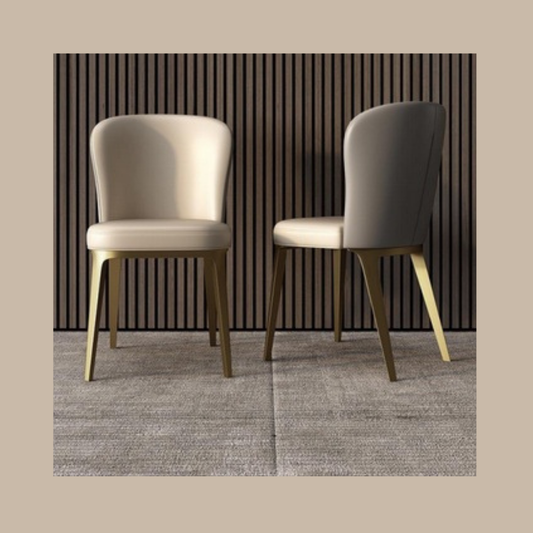 ZANOVA Dining Chair